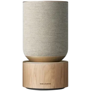Сервисный центр Bang & Olufsen в Тамбове